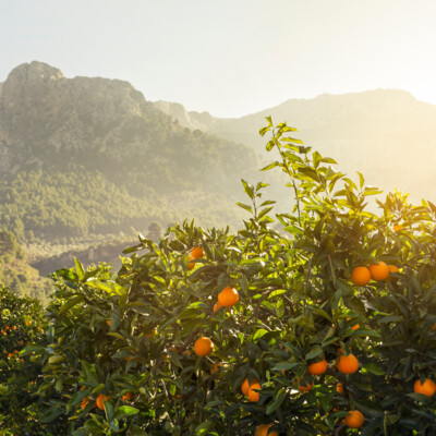 AdobeStock_103358661